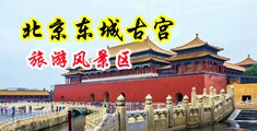 j8插插色综合中国北京-东城古宫旅游风景区
